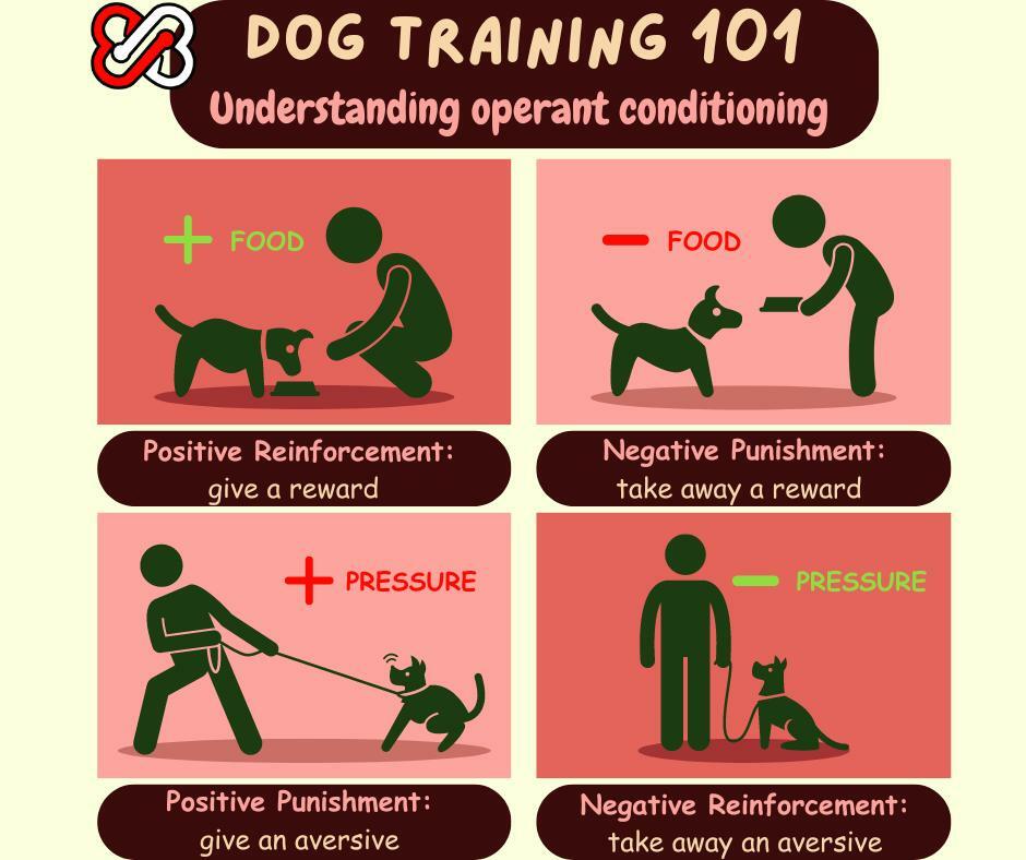 Conditioning in Dog Training