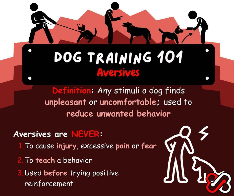 Aversives in Dog Training