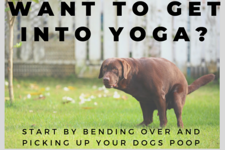 Do Yoga! Pick up your dogs poop!