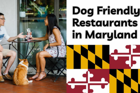 Dog Friendly Restaurants in Maryland